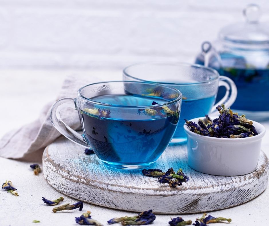 blue pea blog 1