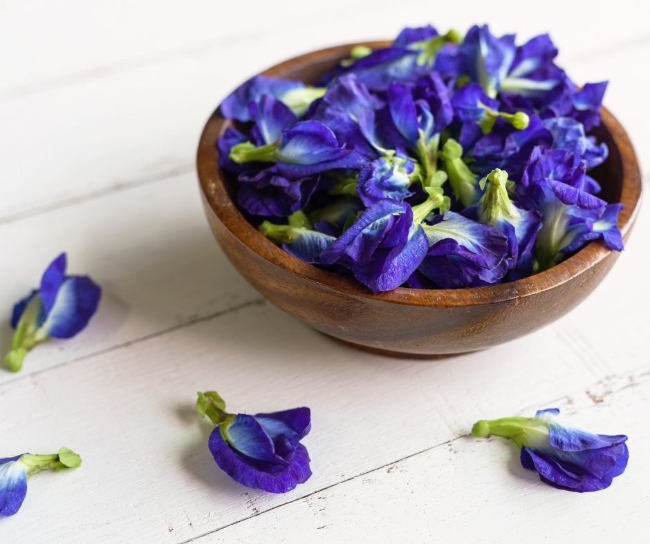 blue pea blog 3